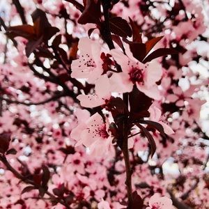 Meet your Posher, Terri caitlyn